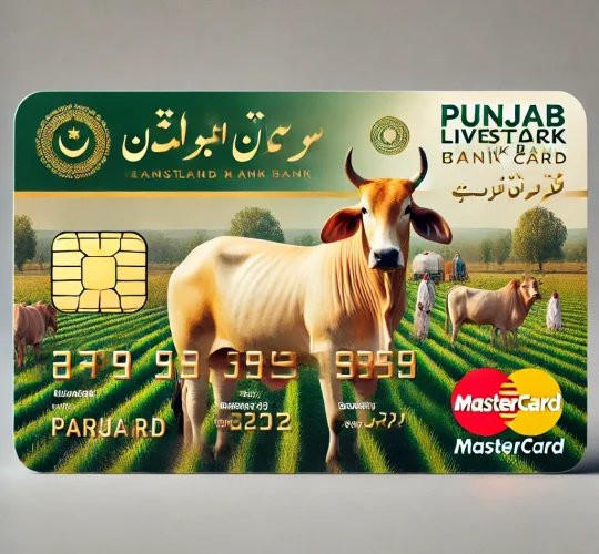 CM Punjab Livestock Card